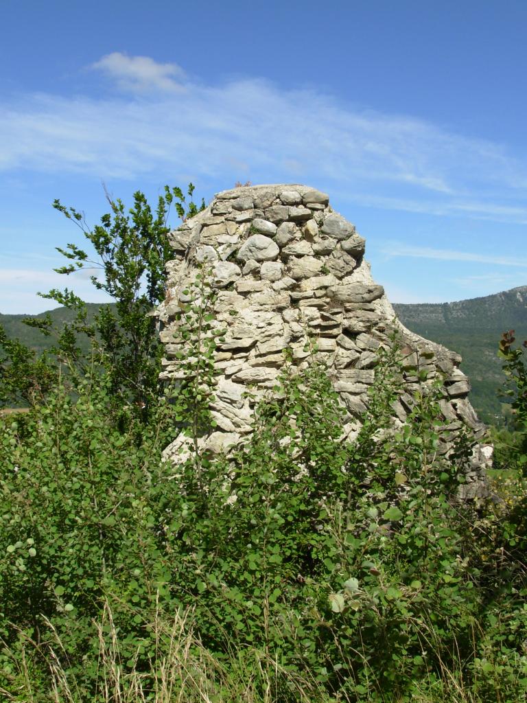 Les ruines du site de Foirevieille