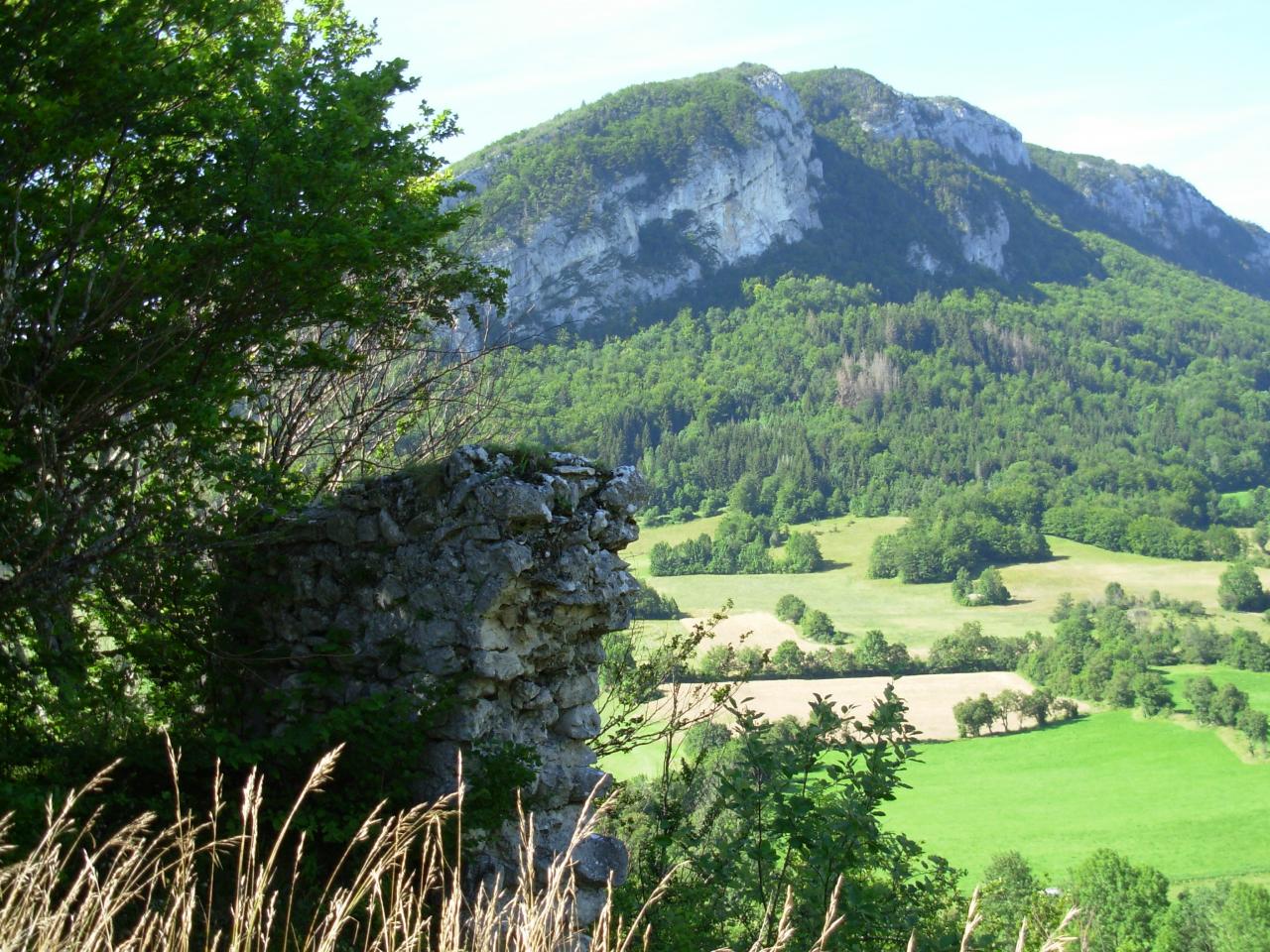 Les ruines de Foirevieille