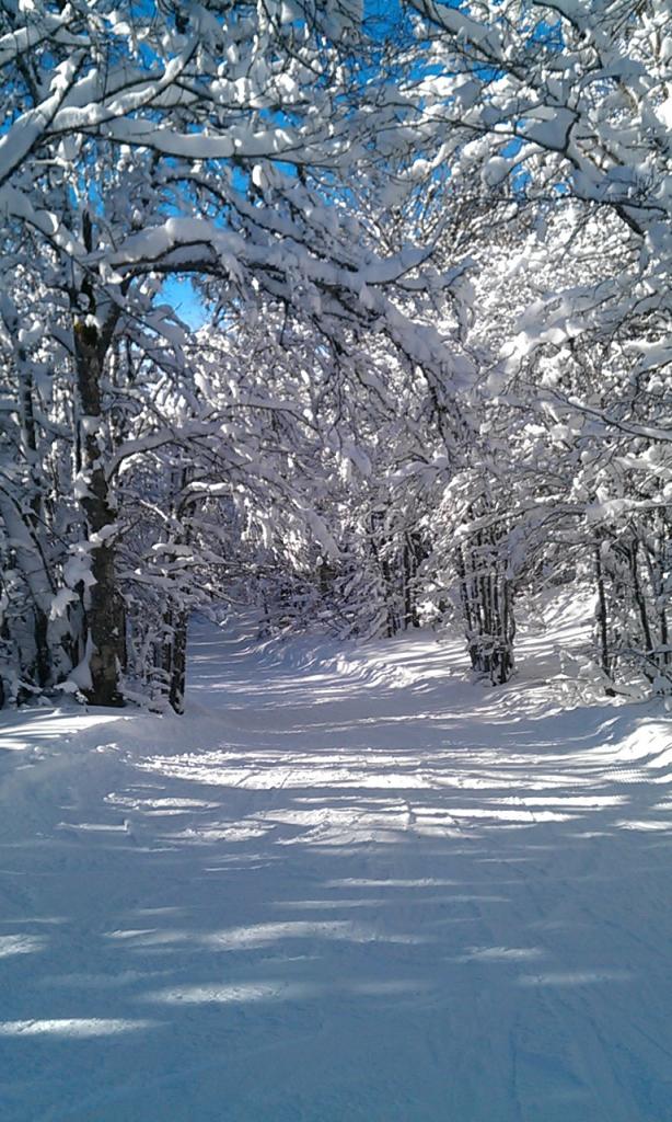Piste
