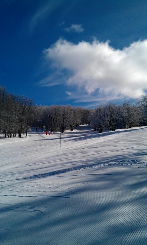 Piste
