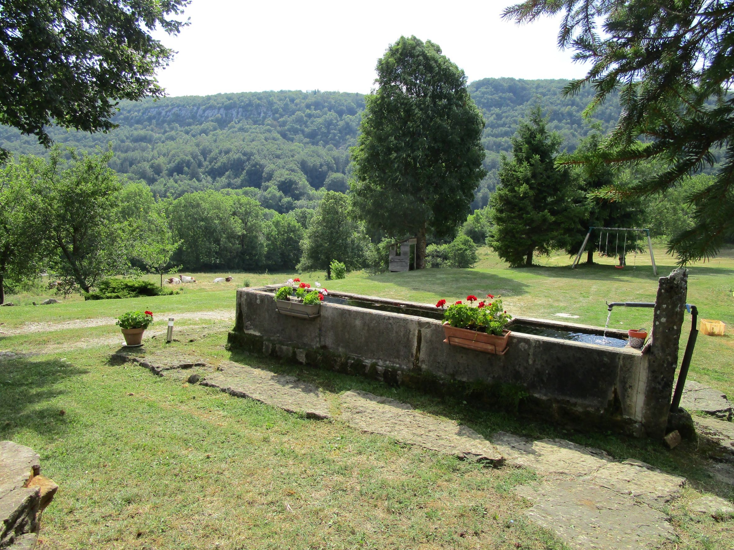 Img 0497