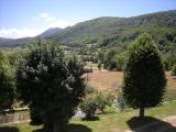 Orchi